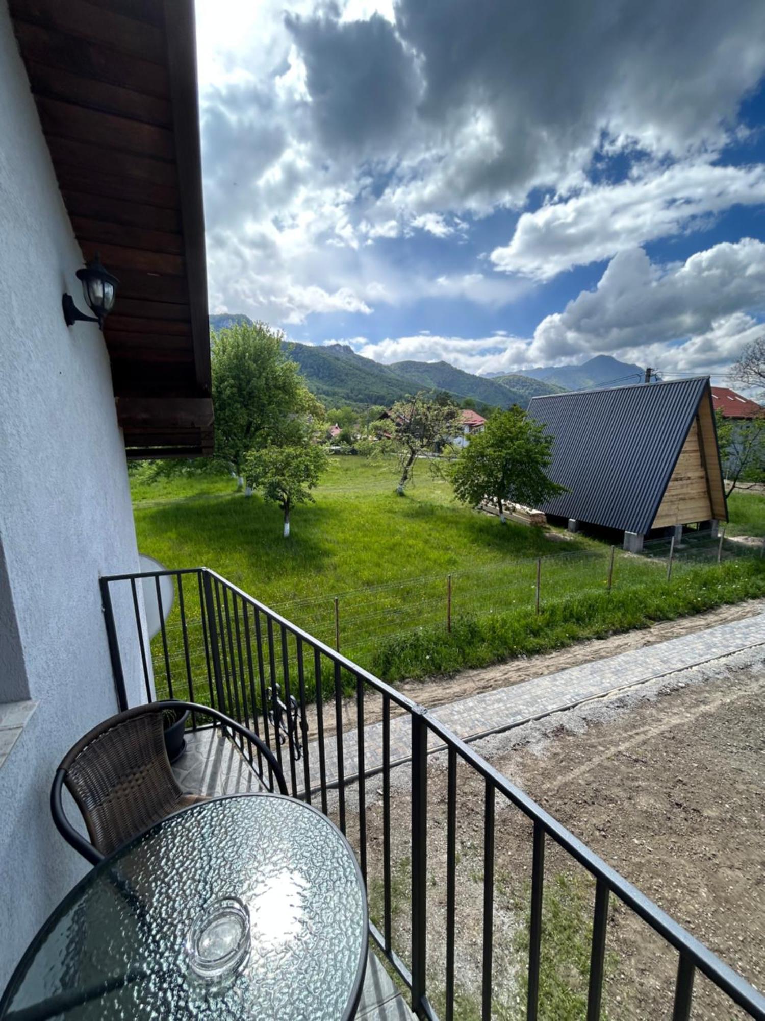 Willa Casa Luca Ama Bran Bran  Zewnętrze zdjęcie